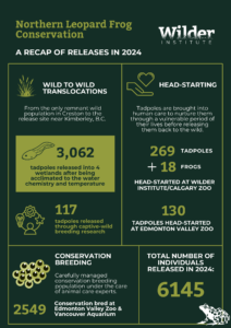 Northern Leopard Frog Conservation